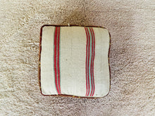 Load image into Gallery viewer, Moroccan floor cushion - S1197, Floor Cushions, The Wool Rugs, The Wool Rugs, 