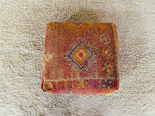 Load image into Gallery viewer, Moroccan floor cushion - S1223, Floor Cushions, The Wool Rugs, The Wool Rugs, 
