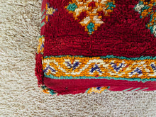 Load image into Gallery viewer, Moroccan floor cushion - S1229, Floor Cushions, The Wool Rugs, The Wool Rugs, 
