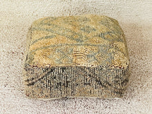 Load image into Gallery viewer, Moroccan floor cushion - S1147, Floor Cushions, The Wool Rugs, The Wool Rugs, 
