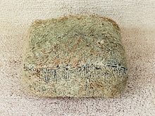 Load image into Gallery viewer, Moroccan floor cushion - S1149, Floor Cushions, The Wool Rugs, The Wool Rugs, 
