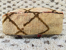 Load image into Gallery viewer, Moroccan floor pillow cover - S157, Floor Cushions, The Wool Rugs, The Wool Rugs, 

