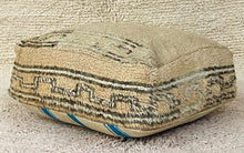 Load image into Gallery viewer, Moroccan floor cushion - S514, Floor Cushions, The Wool Rugs, The Wool Rugs, 
