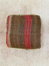 Load image into Gallery viewer, Moroccan floor cushion - S981, Floor Cushions, The Wool Rugs, The Wool Rugs, 
