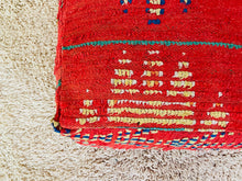 Load image into Gallery viewer, Moroccan floor pillow cover - S719, Floor Cushions, The Wool Rugs, The Wool Rugs, 