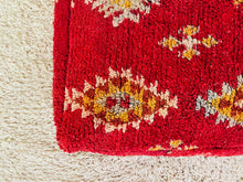 Load image into Gallery viewer, Moroccan floor pillow cover - S751, Floor Cushions, The Wool Rugs, The Wool Rugs, 